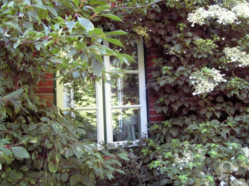 Ferienhaus Marsch Auf Foehr Borgsum Exteriér fotografie